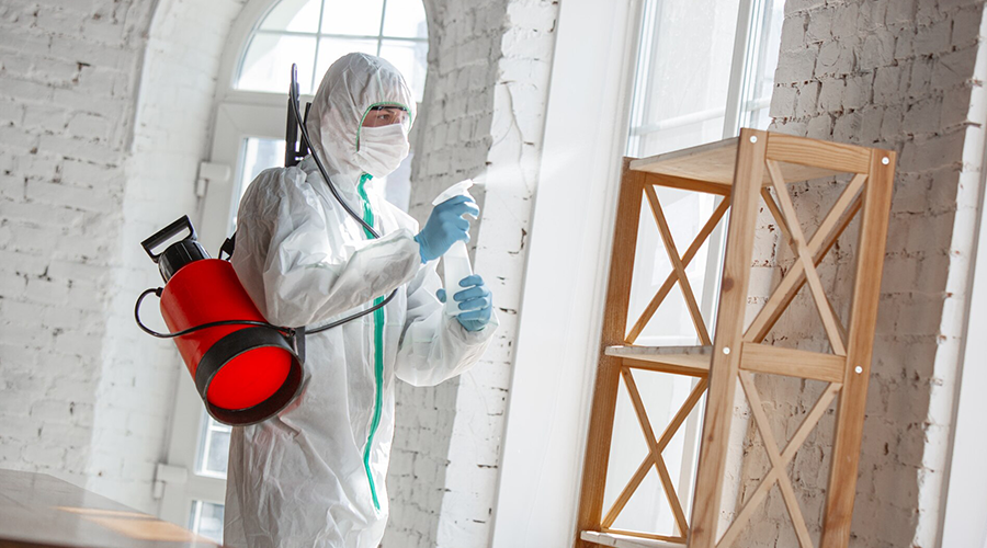 Pest Control Australia