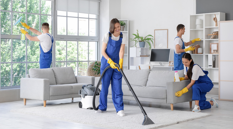 Property Cleaning & Maintenance
